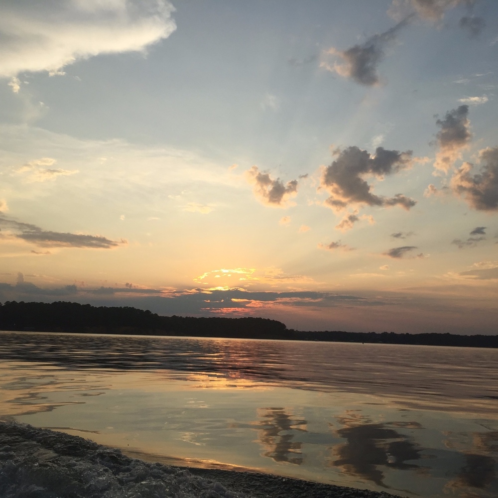 ISO Lululemon short size 8 good condition